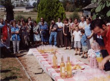 cous-fal-2003-F4