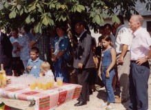 cous-fal-2003-F7